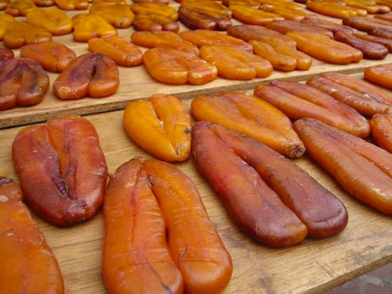 87801544_1aded82002_o